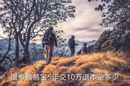 國(guó)壽鑫易寶5年交10萬退本金多少