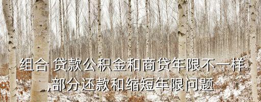  組合 貸款公積金和商貸年限不一樣,部分還款和縮短年限問(wèn)題