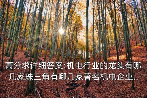 高分求詳細答案:機電行業(yè)的龍頭有哪幾家珠三角有哪幾家著名機電企業(yè)...