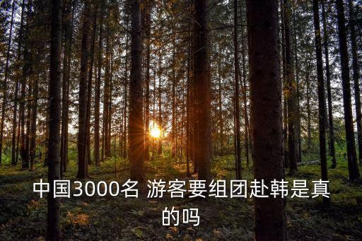 中國(guó)3000名 游客要組團(tuán)赴韓是真的嗎