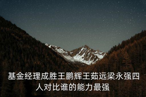  基金經(jīng)理成勝王鵬輝王茹遠(yuǎn)梁永強(qiáng)四人對比誰的能力最強(qiáng)