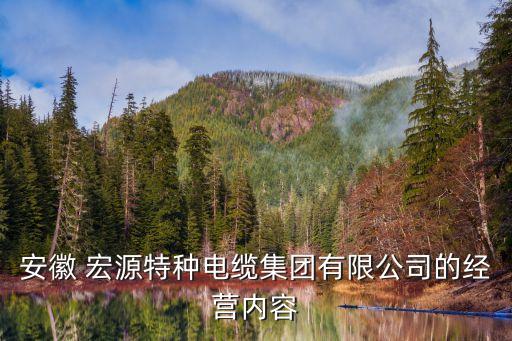 安徽 宏源特種電纜集團有限公司的經營內容