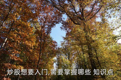 炒股想要入門,需要掌握哪些 知識點(diǎn)