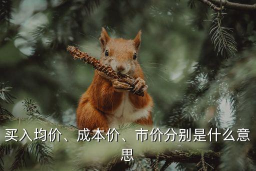 買入均價(jià)、成本價(jià)、市價(jià)分別是什么意思