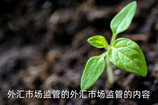 外匯市場監(jiān)管的外匯市場監(jiān)管的內(nèi)容