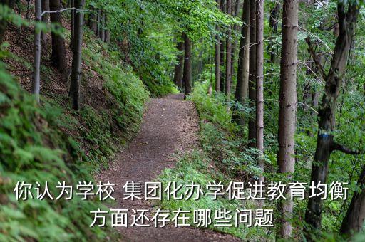 你認(rèn)為學(xué)校 集團(tuán)化辦學(xué)促進(jìn)教育均衡方面還存在哪些問題