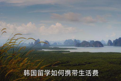  韓國留學如何攜帶生活費