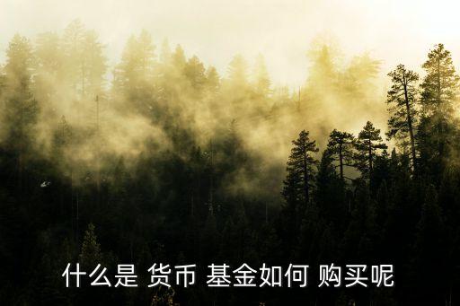 什么是 貨幣 基金如何 購(gòu)買(mǎi)呢