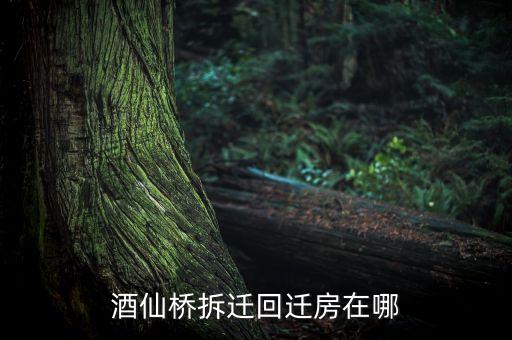 北京陽(yáng)光房地產(chǎn)綜合開(kāi)發(fā)公司,陽(yáng)光100房地產(chǎn)開(kāi)發(fā)有限公司