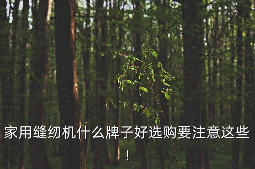 上海東興輕工技術(shù)有限公司,徐州東興電力技術(shù)有限公司