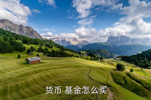  貨幣 基金怎么買(mǎi)