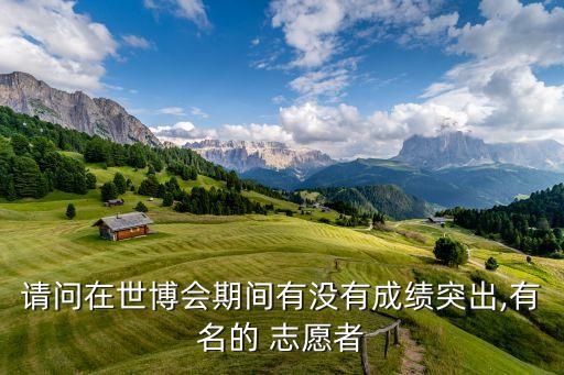 請(qǐng)問(wèn)在世博會(huì)期間有沒(méi)有成績(jī)突出,有名的 志愿者