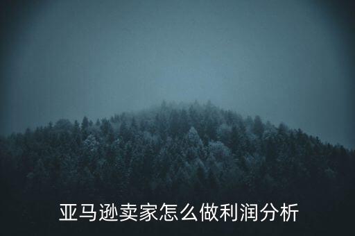 亞馬遜中國財(cái)務(wù)報表