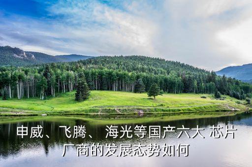 申威、飛騰、 海光等國產(chǎn)六大 芯片廠商的發(fā)展態(tài)勢(shì)如何