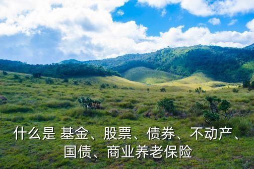 什么是 基金、股票、債券、不動產(chǎn)、 國債、商業(yè)養(yǎng)老保險