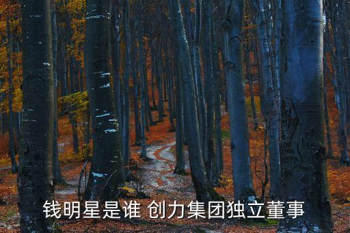 錢(qián)明星是誰(shuí) 創(chuàng)力集團(tuán)獨(dú)立董事