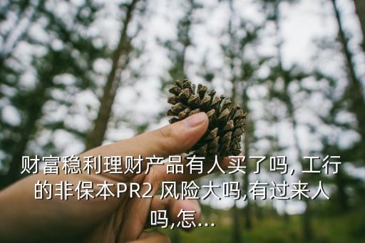 財(cái)富穩(wěn)利理財(cái)產(chǎn)品有人買了嗎, 工行的非保本PR2 風(fēng)險(xiǎn)大嗎,有過來人嗎,怎...