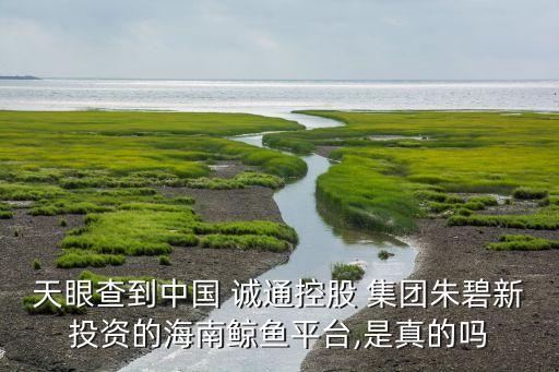 誠通集團改革概念股