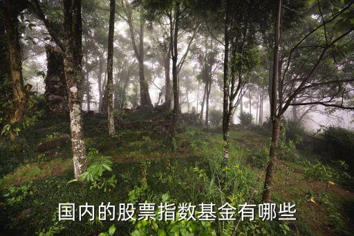 國內的股票指數(shù)基金有哪些