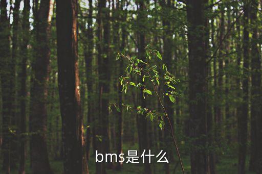 bms電池管理系統(tǒng)上市公司,新能源汽車(chē)電池管理系統(tǒng)(BMS)的組成