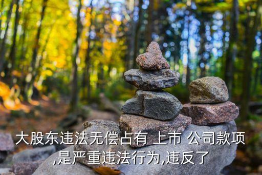 大股東違法無償占有 上市 公司款項(xiàng),是嚴(yán)重違法行為,違反了