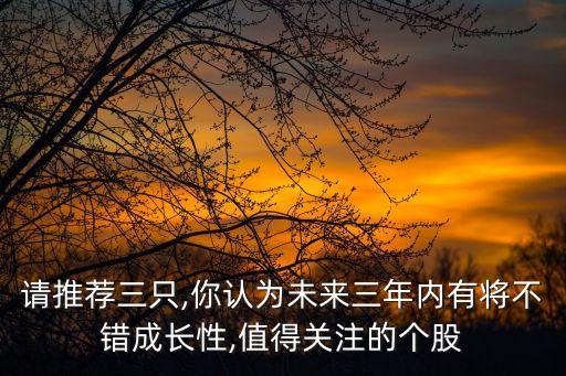 請推薦三只,你認為未來三年內(nèi)有將不錯成長性,值得關注的個股