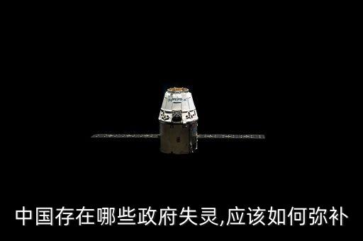 中國(guó)存在哪些政府失靈,應(yīng)該如何彌補(bǔ)