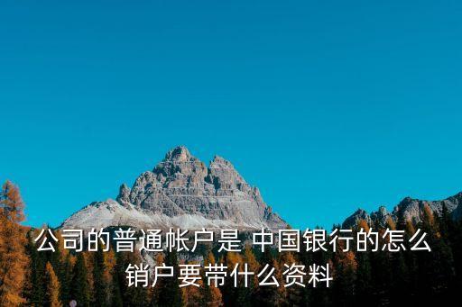  公司的普通帳戶是 中國(guó)銀行的怎么銷戶要帶什么資料