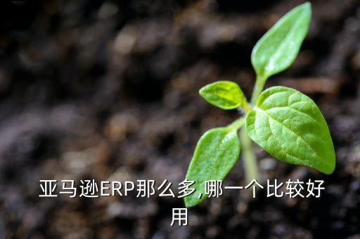  亞馬遜ERP那么多,哪一個比較好用
