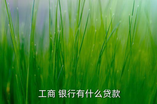工商銀行開展的業(yè)務