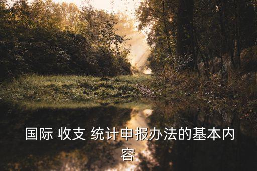  國際 收支 統(tǒng)計(jì)申報(bào)辦法的基本內(nèi)容
