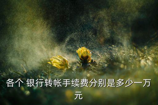 各個(gè) 銀行轉(zhuǎn)帳手續(xù)費(fèi)分別是多少一萬(wàn)元