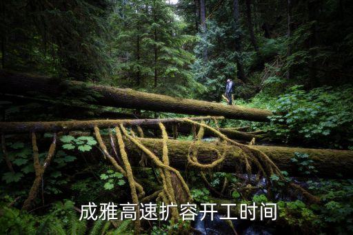  成雅高速擴容開工時間