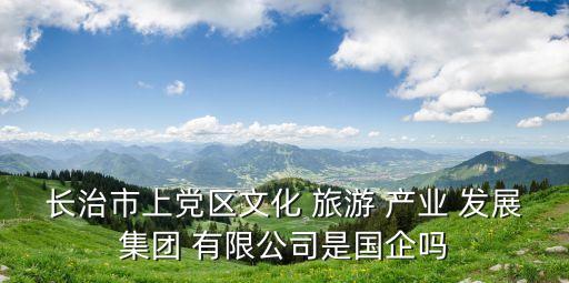 旅游產業(yè)發(fā)展有限公司經營范圍是什么,盛投中世沈陽旅游開發(fā)有限公司經營范圍