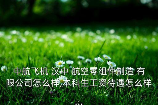 漢中一零一航空電子設備有限公司