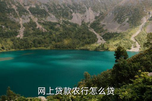 中國農(nóng)業(yè)銀行互聯(lián)網(wǎng)金融