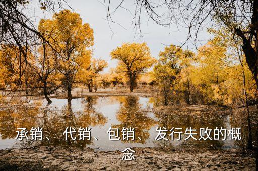 承銷(xiāo)、 代銷(xiāo)、包銷(xiāo)、 發(fā)行失敗的概念