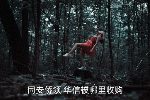 同安僑領(lǐng) 華信被哪里收購(gòu)