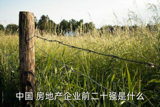 中國 房地產企業(yè)前二十強是什么