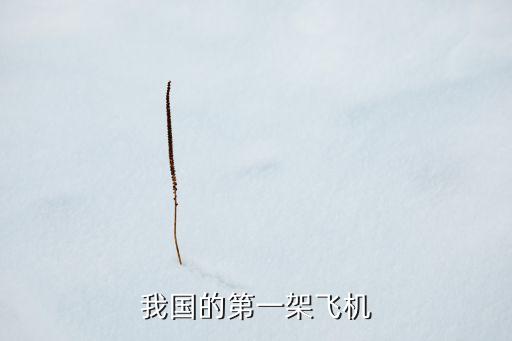 我國(guó)的第一架飛機(jī)