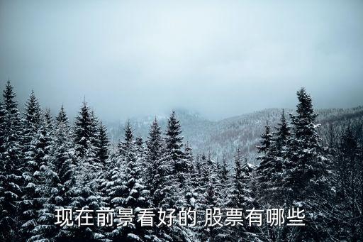上海能源股票目標(biāo)價,廣匯能源2022股票目標(biāo)價