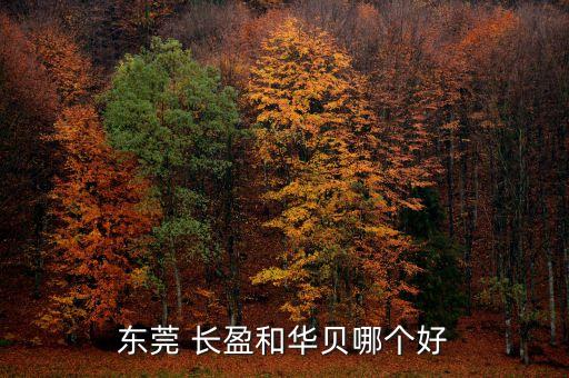 東莞 長(zhǎng)盈和華貝哪個(gè)好