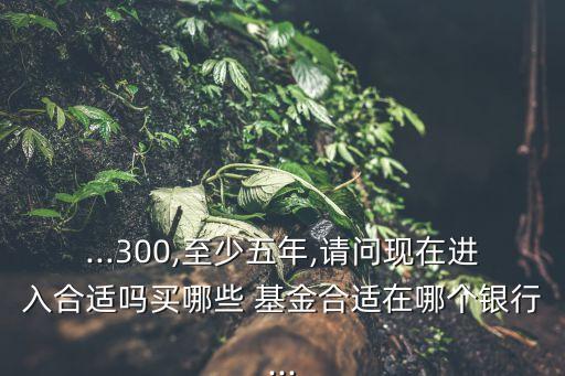 ...300,至少五年,請問現(xiàn)在進(jìn)入合適嗎買哪些 基金合適在哪個銀行...