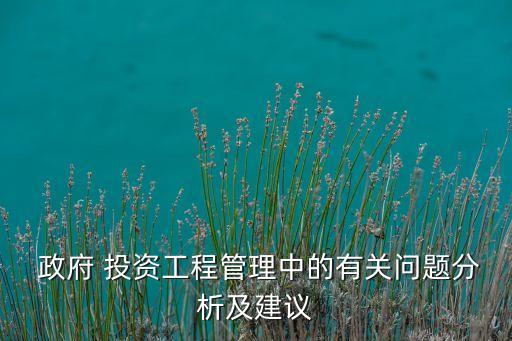  政府 投資工程管理中的有關問題分析及建議