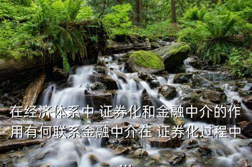 在經(jīng)濟(jì)體系中 證券化和金融中介的作用有何聯(lián)系金融中介在 證券化過程中...