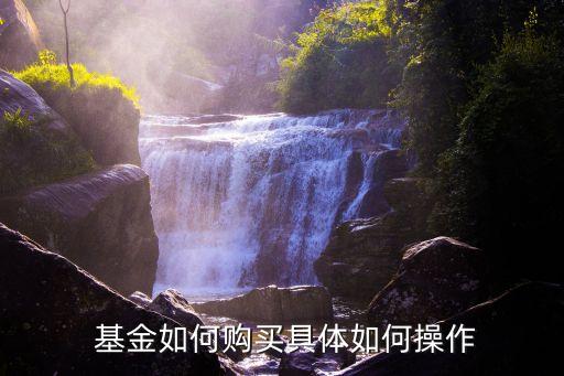  基金如何購買具體如何操作