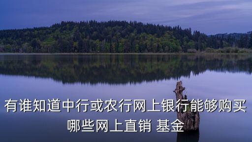 有誰知道中行或農(nóng)行網(wǎng)上銀行能夠購買哪些網(wǎng)上直銷 基金