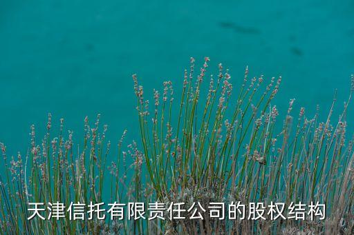 海泰控股集團國企改革,天津海泰控股集團有限公司總經(jīng)理