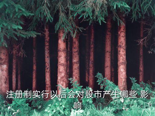 注冊制實行以后會對股市產生哪些 影響