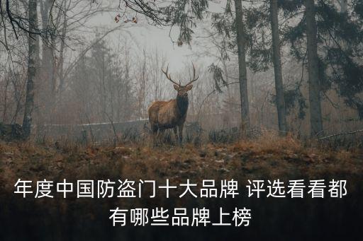 年度中國(guó)防盜門十大品牌 評(píng)選看看都有哪些品牌上榜